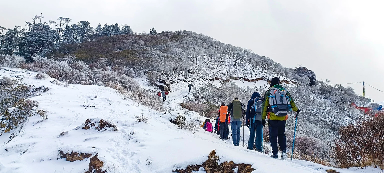 Sandakphu Trek